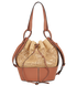 Balloon Bag, front view